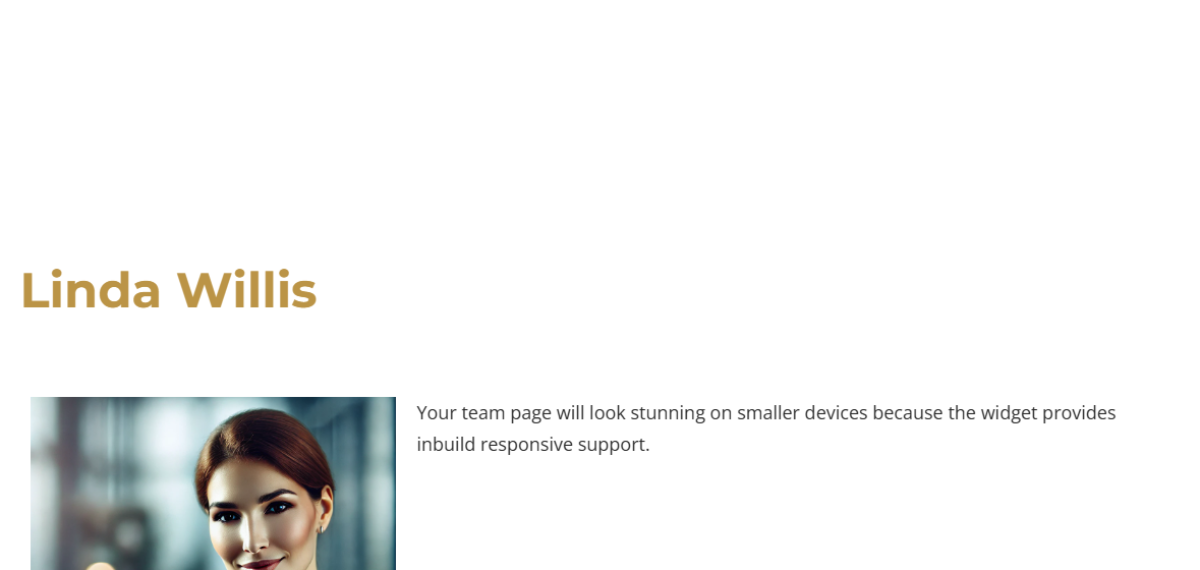 Elementor-post-screenshot_4687_2024-12-19-20-59-24_4a29849d.png